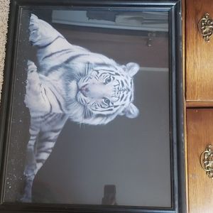Picture of a White Tiger
